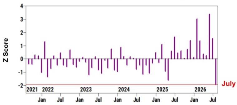 Asia Gross Trading Flows - Monthly